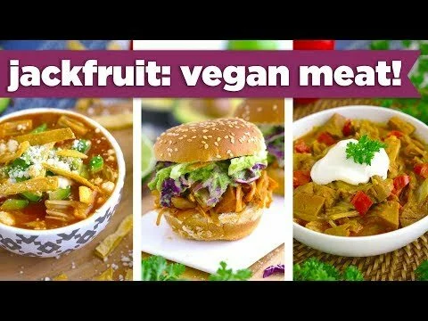 Healthy Jackfruit Recipes – Vegan Pulled Pork, Curry & Tortilla Soup!? – Mind Over Munch
