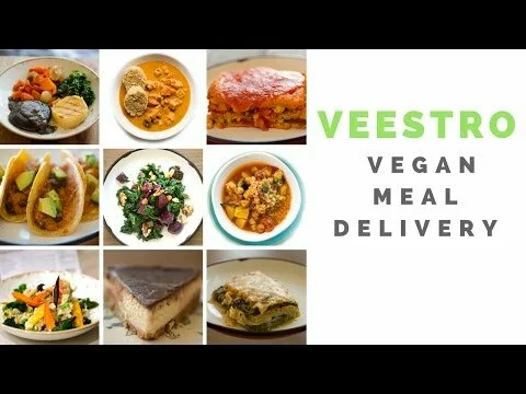 My Veestro Vegan Meal Delivery Review – Video Clips!