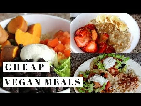 Eat Vegan for $30 a Week! Easy Breakfast, Lunch and Dinner Recipes